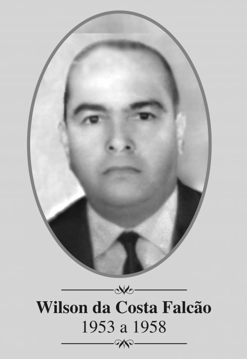 Wilson da Costa Falcão